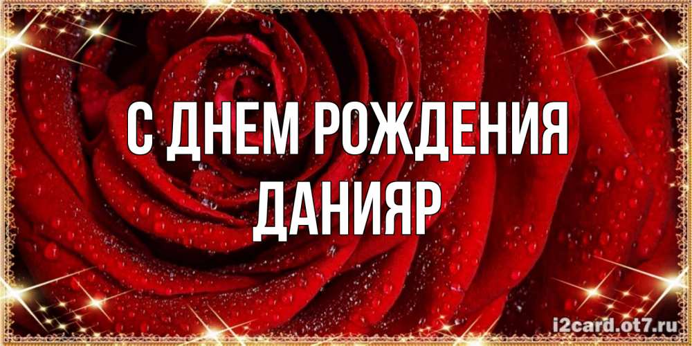 Открытка на каждый день с именем, данияр С днем рождения роса на розе блестящая в лучах солнца Прикольная открытка с пожеланием онлайн скачать бесплатно 