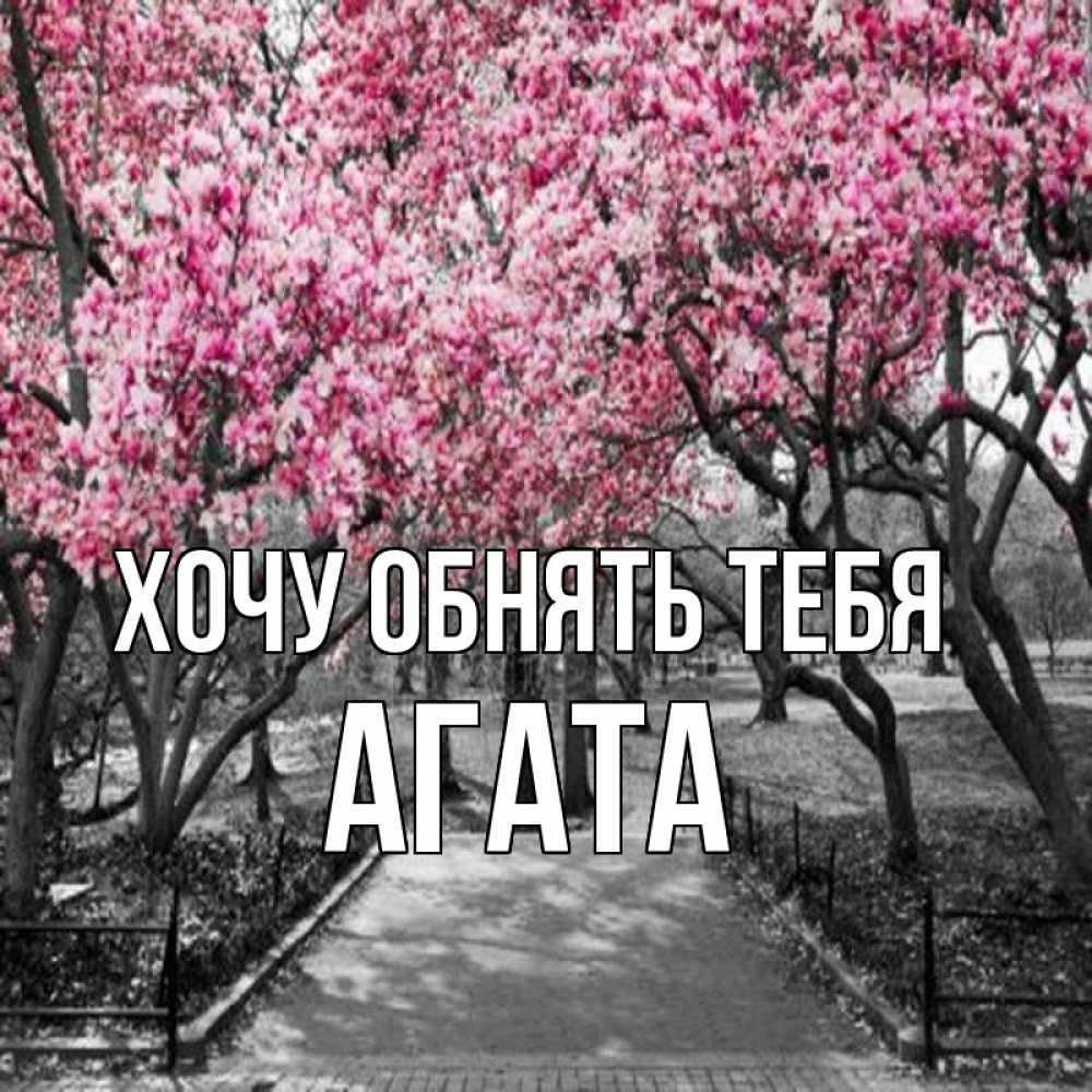 Открытка на каждый день с именем, Агата Хочу обнять тебя обработанное фото Прикольная открытка с пожеланием онлайн скачать бесплатно 