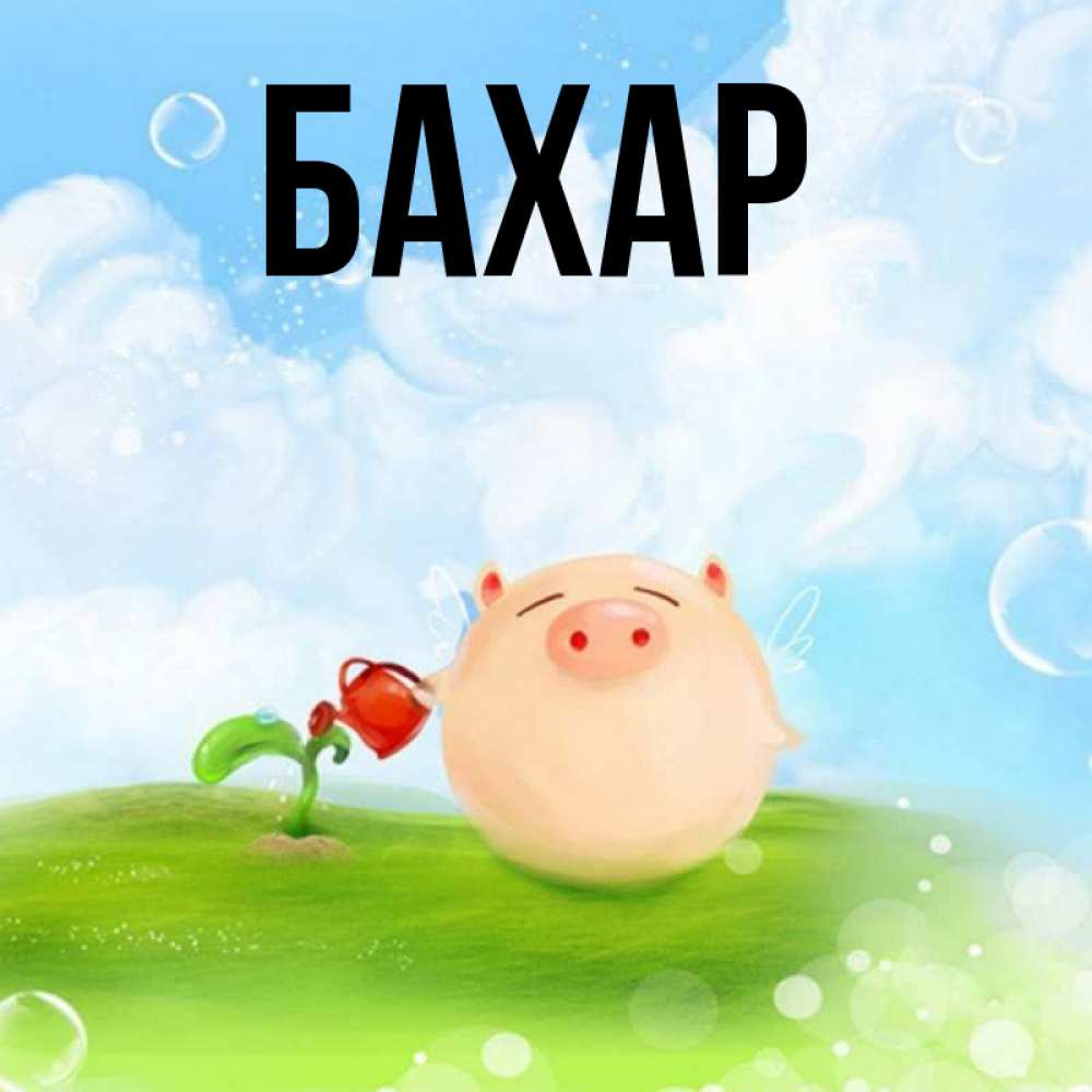 Открытка на каждый день с именем, Бахар Главная поливает цветок порося Прикольная открытка с пожеланием онлайн скачать бесплатно 