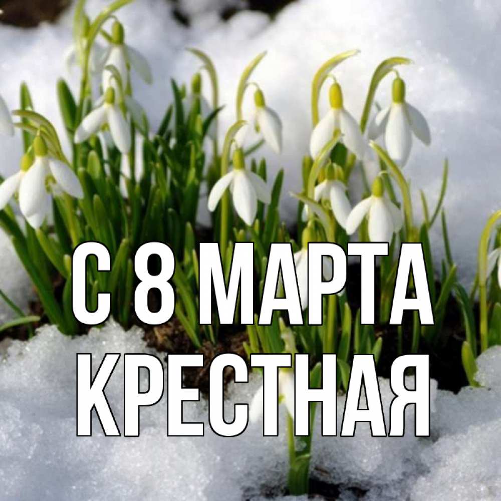 Открытка на каждый день с именем, Крестная С 8 марта цветы весенние Прикольная открытка с пожеланием онлайн скачать бесплатно 
