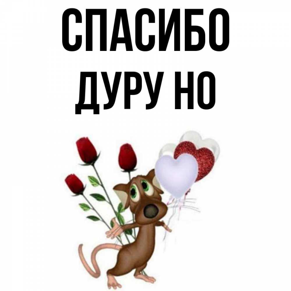 Спасибо дура видео оригинал