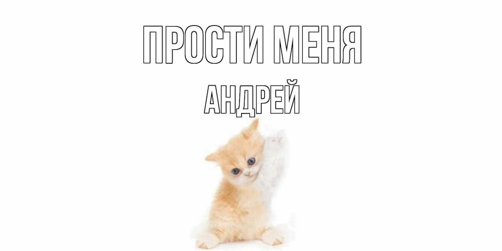 Открытка на каждый день с именем, Андрей Прости меня кот Прикольная открытка с пожеланием онлайн скачать бесплатно 