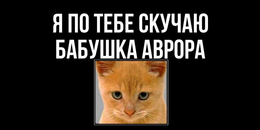 Открытка на каждый день с именем, Бабушка-Аврора Я по тебе скучаю открытки рыжий котенок скучает по тебе Прикольная открытка с пожеланием онлайн скачать бесплатно 
