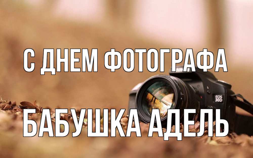 Открытка на каждый день с именем, Бабушка-Адель С днем фотографа с днем фотографа Прикольная открытка с пожеланием онлайн скачать бесплатно 