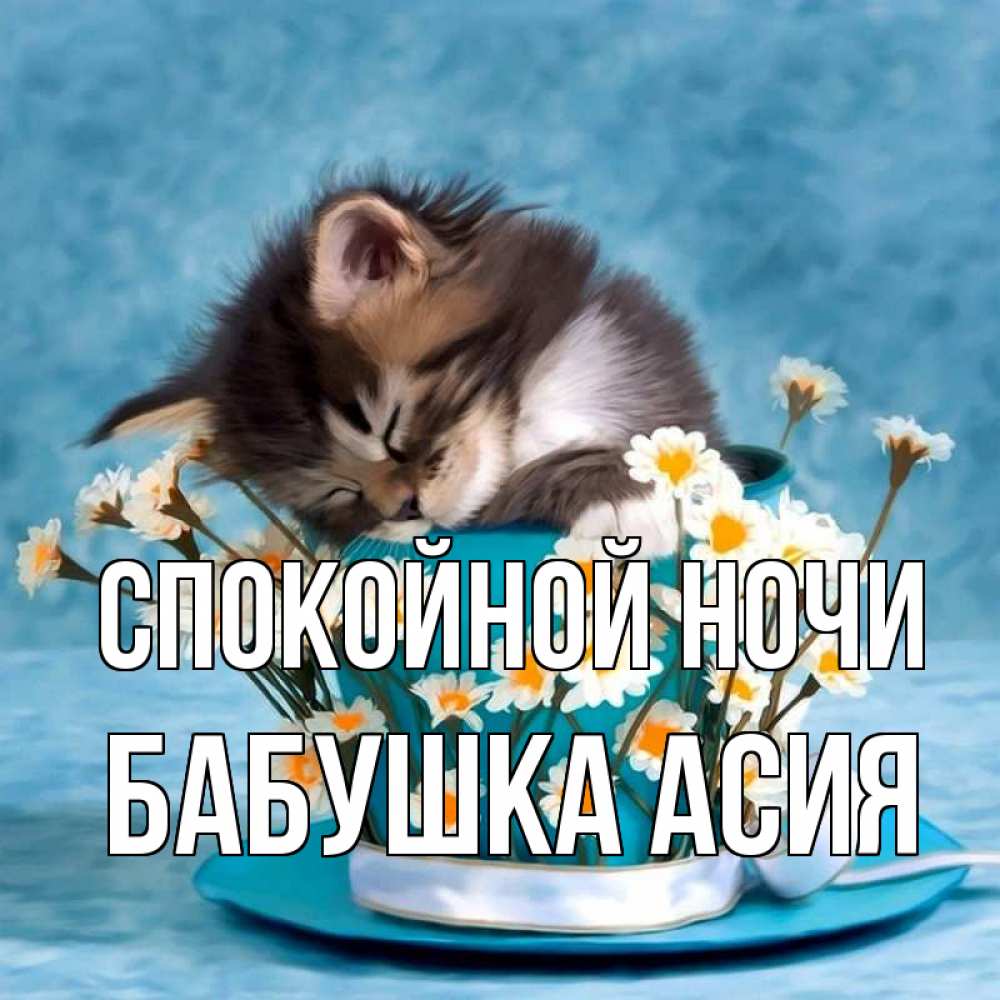 Открытка на каждый день с именем, Бабушка-Асия Спокойной ночи котенок спит в кружке с блюдцем Прикольная открытка с пожеланием онлайн скачать бесплатно 
