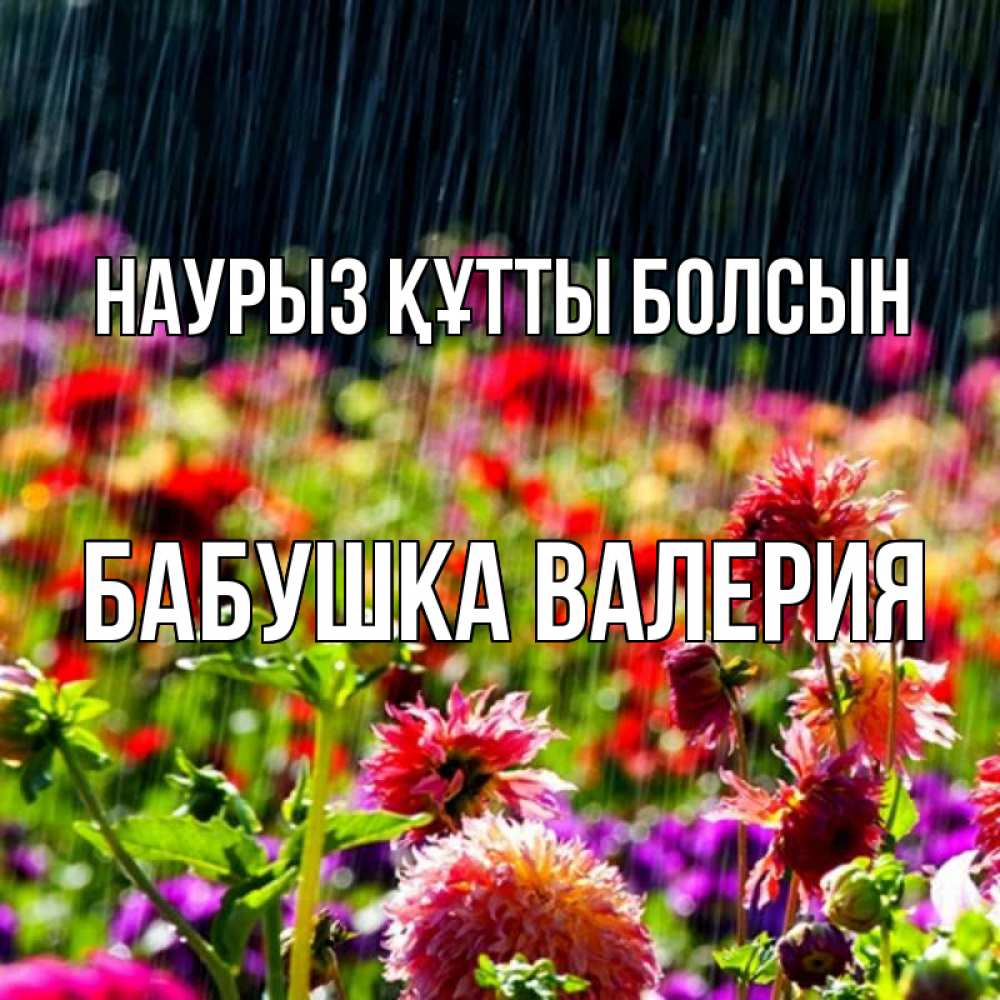 Открытка на каждый день с именем, Бабушка-Валерия Наурыз құтты болсын цветы под дождиком к наурызу Прикольная открытка с пожеланием онлайн скачать бесплатно 