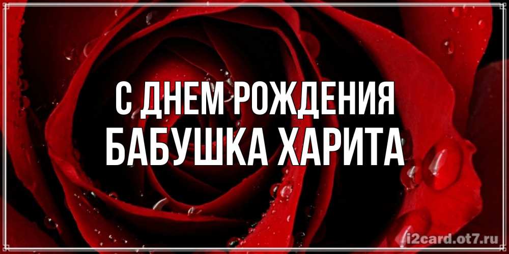 Открытка на каждый день с именем, Бабушка-Харита С днем рождения крупная бордовая роза Прикольная открытка с пожеланием онлайн скачать бесплатно 