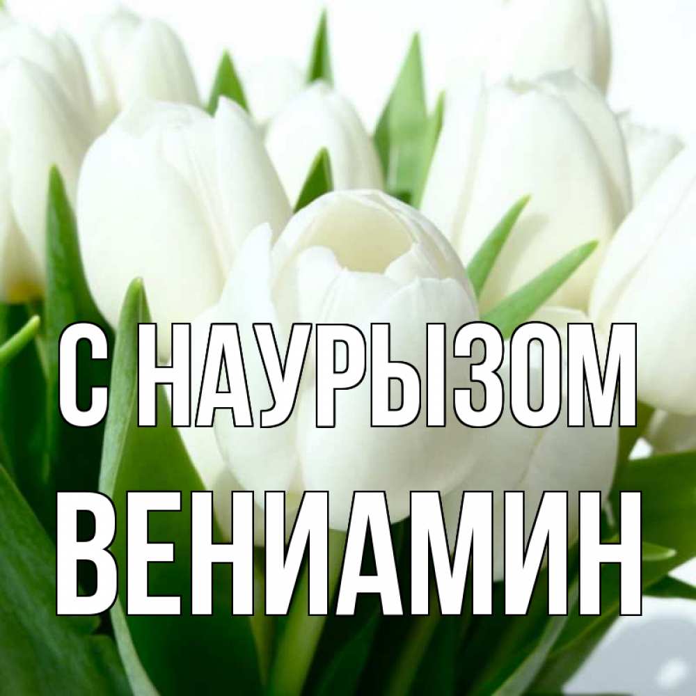 Открытка на каждый день с именем, Вениамин С наурызом цветы Прикольная открытка с пожеланием онлайн скачать бесплатно 