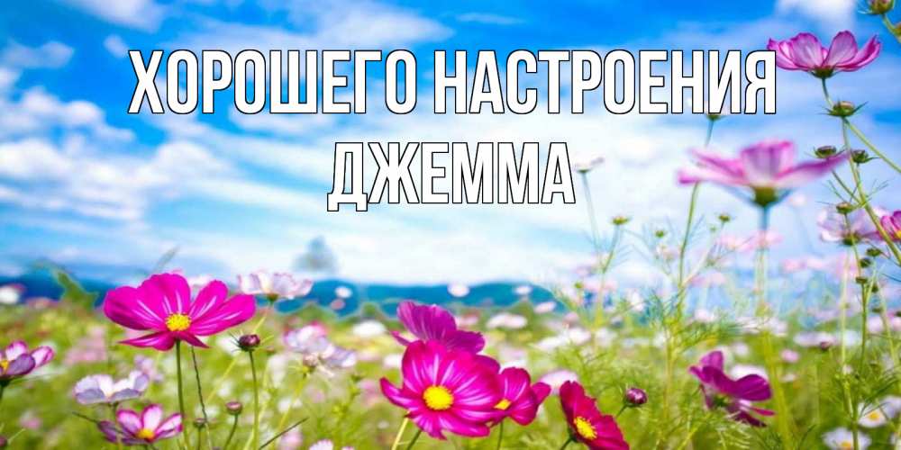 Открытка на каждый день с именем, Джемма Хорошего настроения поле цветов Прикольная открытка с пожеланием онлайн скачать бесплатно 