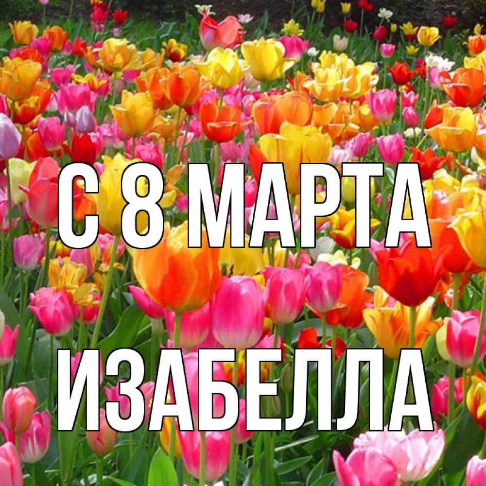 Открытка на каждый день с именем, Изабелла С 8 МАРТА на международный женский день Прикольная открытка с пожеланием онлайн скачать бесплатно 