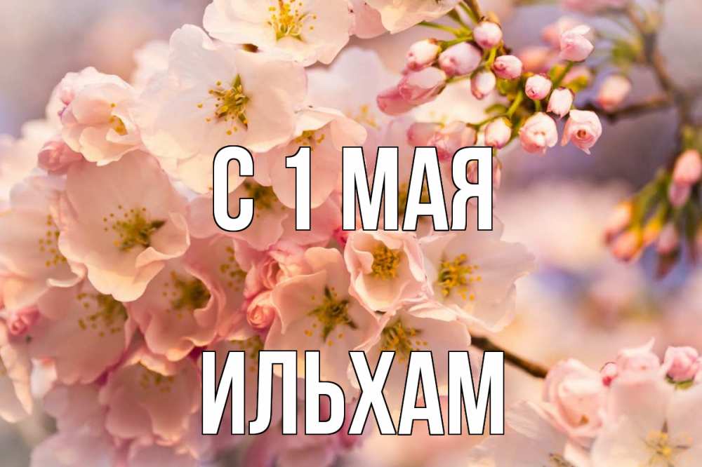 Открытка на каждый день с именем, Ильхам С 1 мая С 1 мая Прикольная открытка с пожеланием онлайн скачать бесплатно 