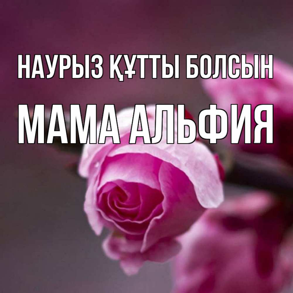 Открытка на каждый день с именем, Мама-Альфия Наурыз құтты болсын весна Прикольная открытка с пожеланием онлайн скачать бесплатно 