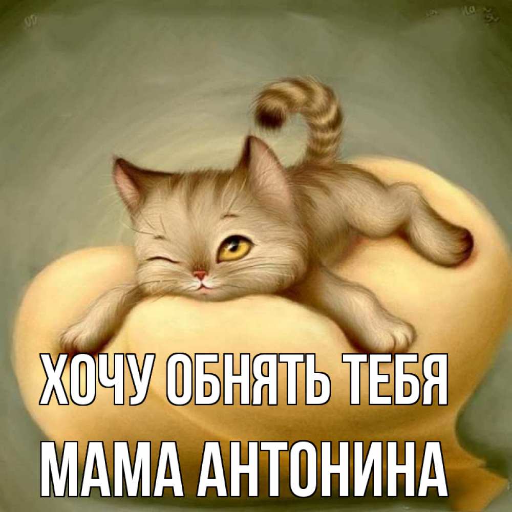 Открытка на каждый день с именем, Мама-Антонина Хочу обнять тебя кошечка Прикольная открытка с пожеланием онлайн скачать бесплатно 