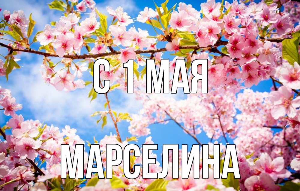 Открытка на каждый день с именем, Марселина С 1 мая С 1 мая Прикольная открытка с пожеланием онлайн скачать бесплатно 