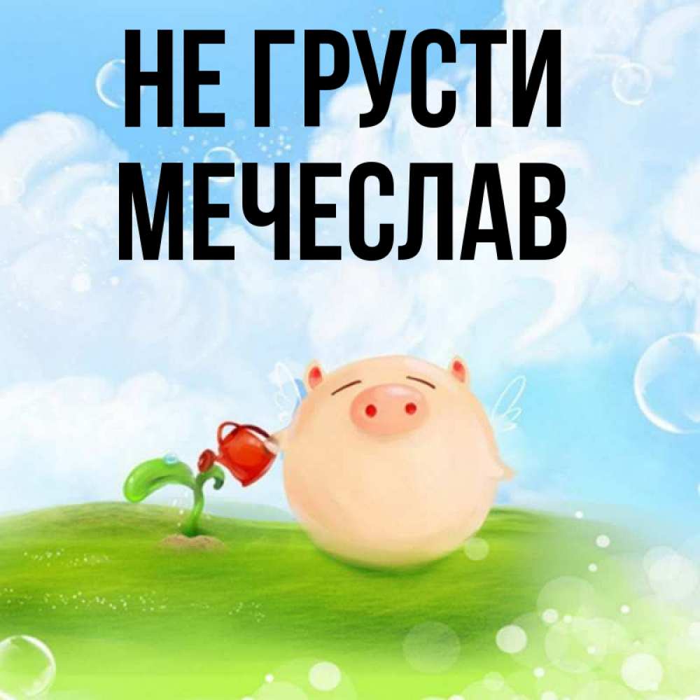Открытка на каждый день с именем, Мечеслав Не грусти поливает цветок порося Прикольная открытка с пожеланием онлайн скачать бесплатно 