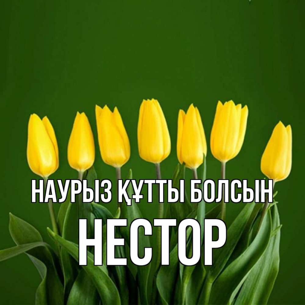 Открытка на каждый день с именем, Нестор Наурыз құтты болсын желтого цвета 3 Прикольная открытка с пожеланием онлайн скачать бесплатно 