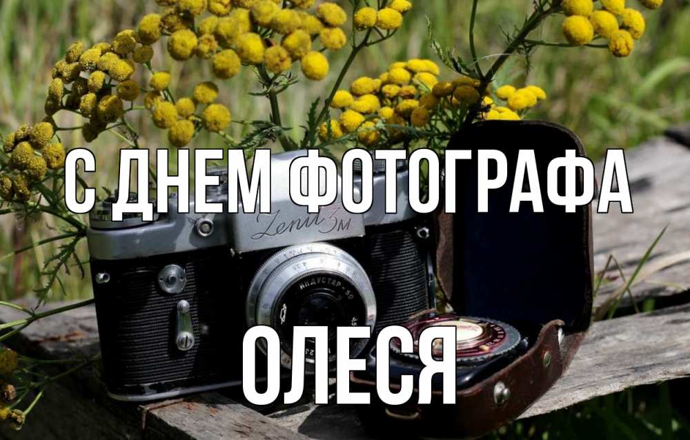 Открытка на каждый день с именем, Олеся С днем фотографа с днем фотографа Прикольная открытка с пожеланием онлайн скачать бесплатно 