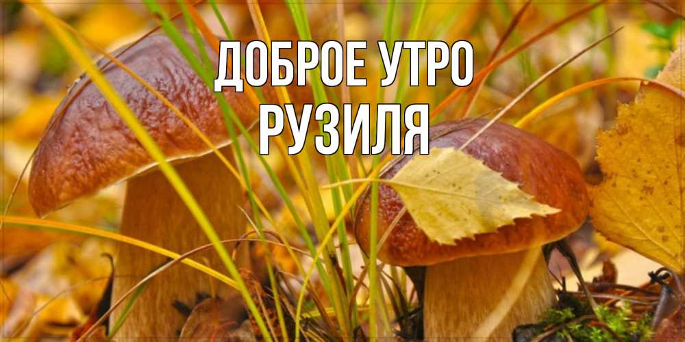 Открытка на каждый день с именем, Рузиля Доброе утро осенние грибы Прикольная открытка с пожеланием онлайн скачать бесплатно 
