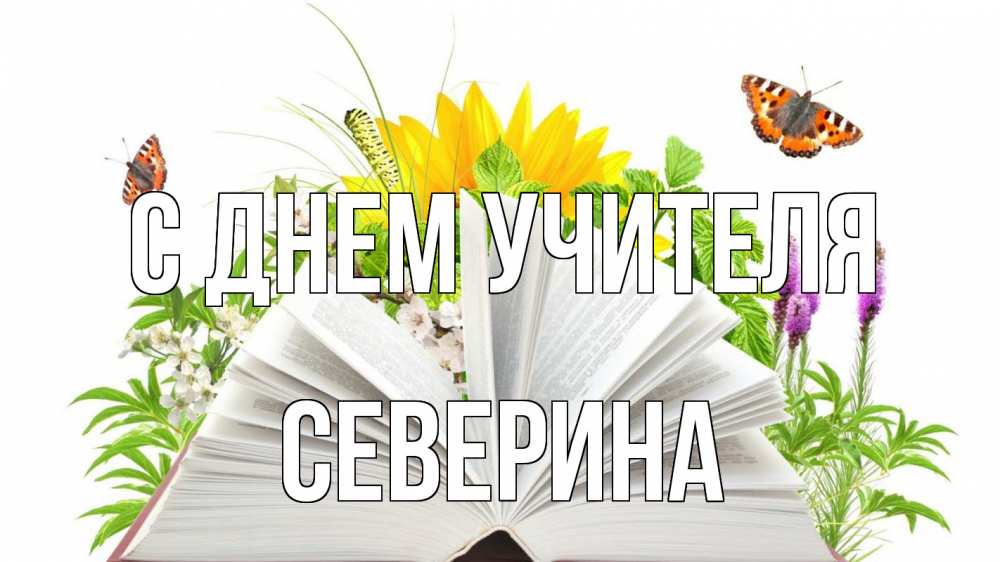 Открытка на каждый день с именем, Северина С днем учителя с днем учителя Прикольная открытка с пожеланием онлайн скачать бесплатно 