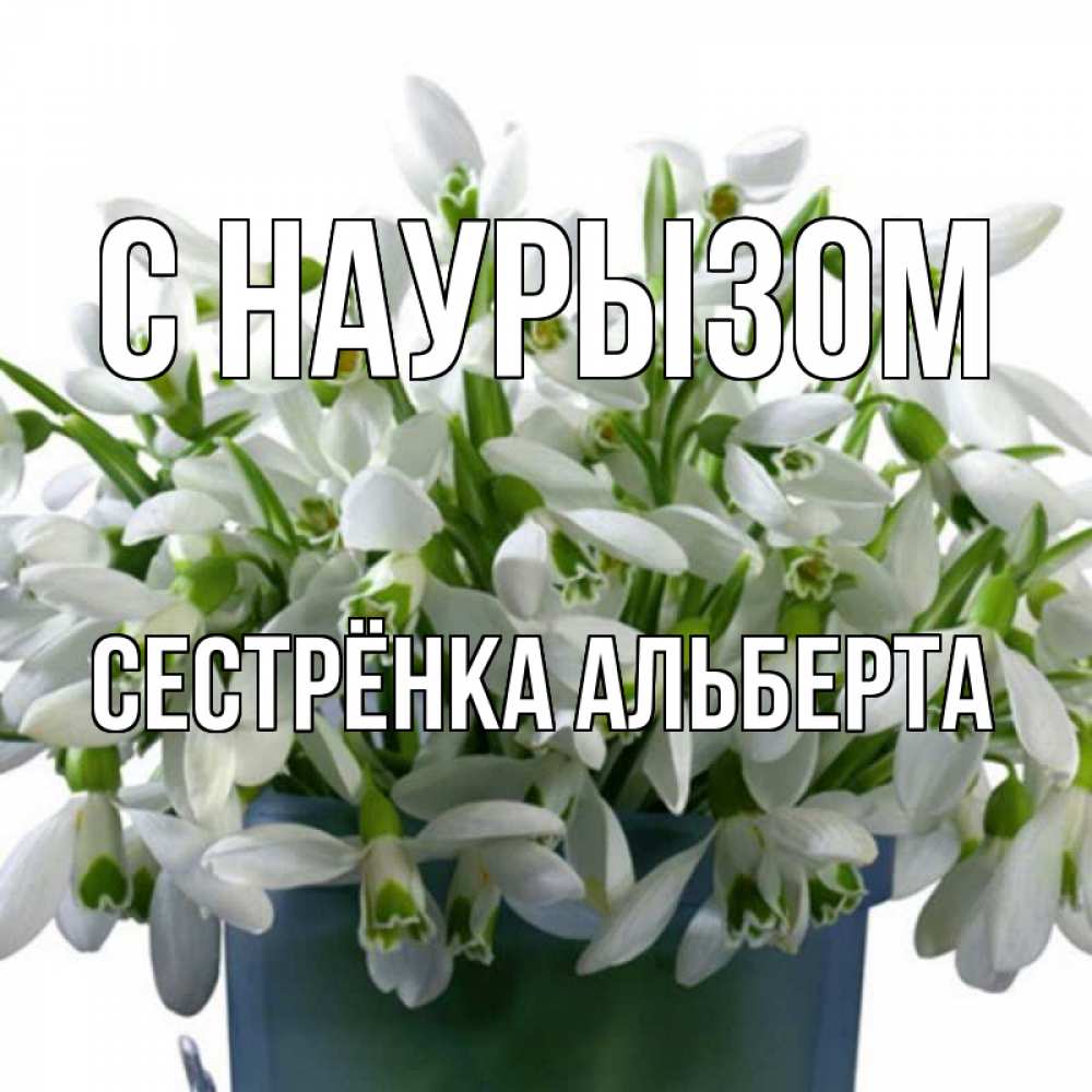 Открытка на каждый день с именем, Сестрёнка-Альберта С наурызом цветы к наурызу новый год в Казахстане Прикольная открытка с пожеланием онлайн скачать бесплатно 