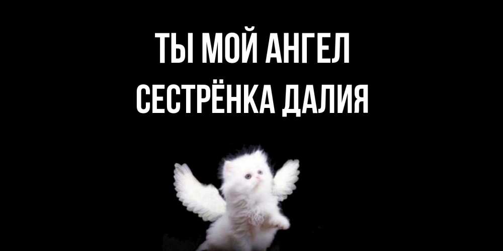 Открытка на каждый день с именем, Сестрёнка-Далия Ты мой ангел Кот ангел Прикольная открытка с пожеланием онлайн скачать бесплатно 