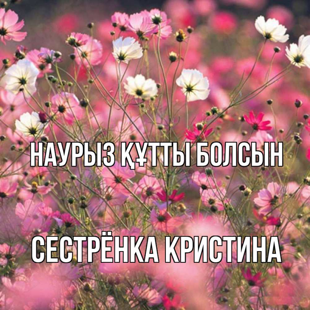 Открытка на каждый день с именем, Сестрёнка-Кристина Наурыз құтты болсын красиво 1 Прикольная открытка с пожеланием онлайн скачать бесплатно 