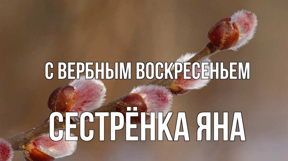 Открытка на каждый день с именем, Сестрёнка-Яна С вербным воскресеньем верба Прикольная открытка с пожеланием онлайн скачать бесплатно 