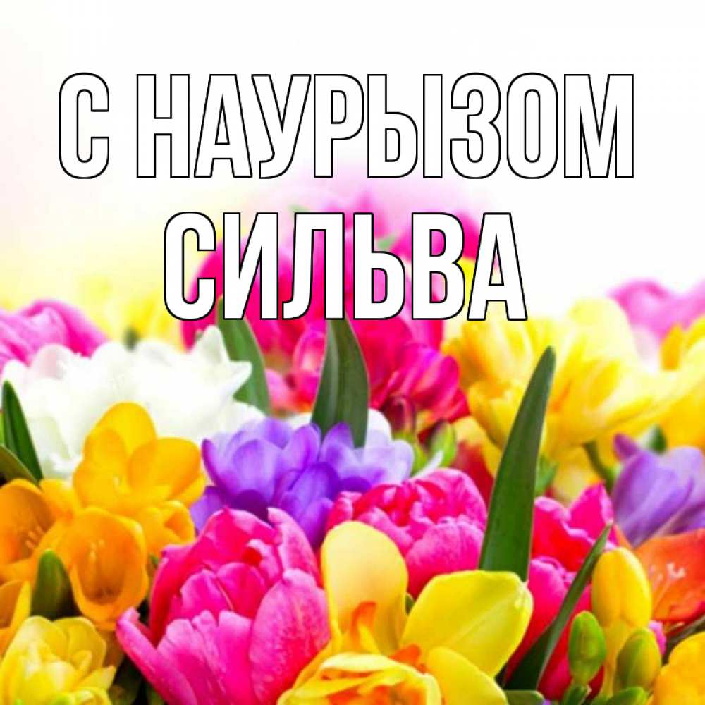 Открытка на каждый день с именем, Сильва С наурызом тюльпаны Прикольная открытка с пожеланием онлайн скачать бесплатно 