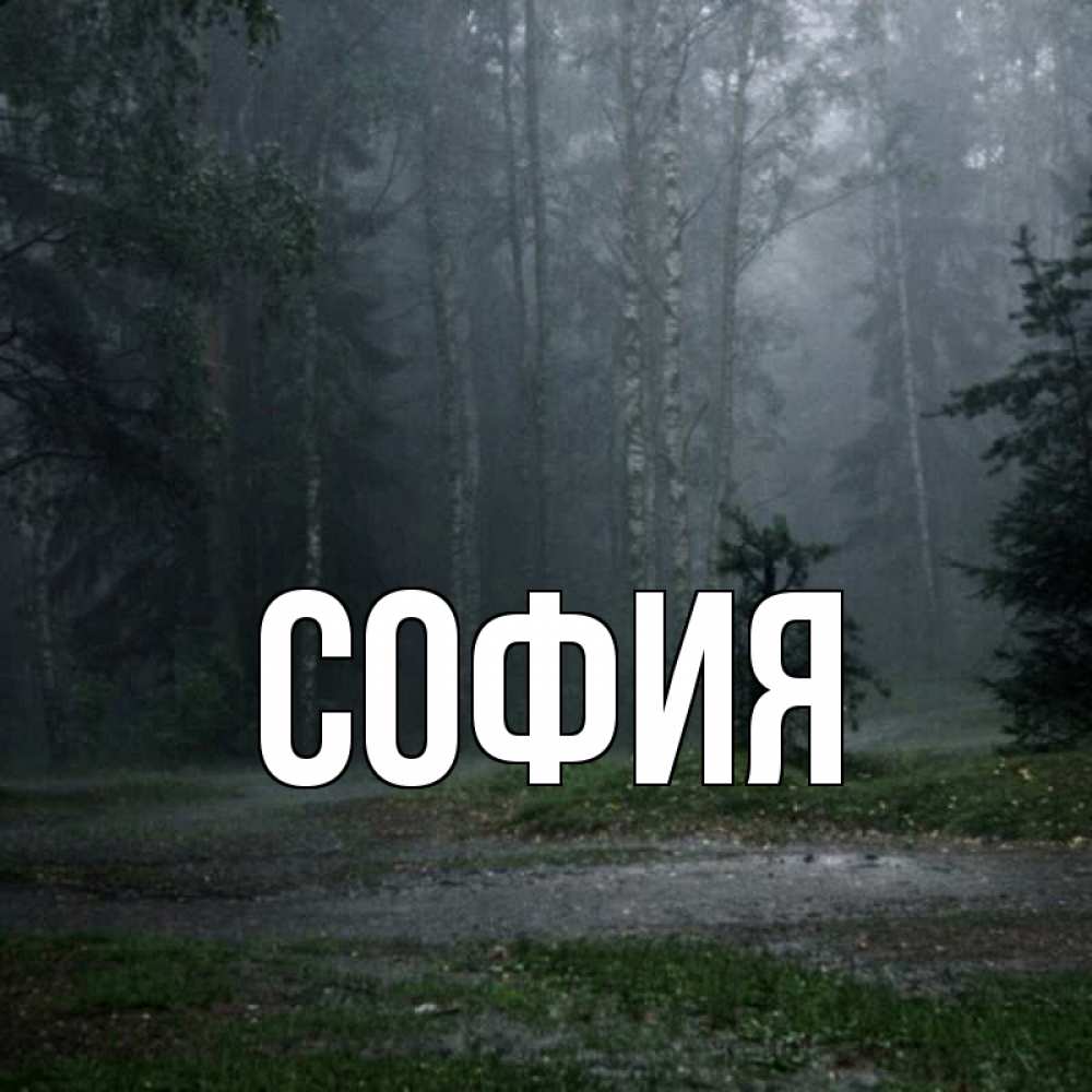 Открытка на каждый день с именем, София Главная одна и плохо мне Прикольная открытка с пожеланием онлайн скачать бесплатно 