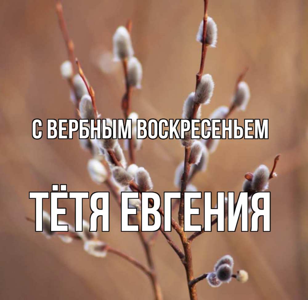 Открытка на каждый день с именем, Тётя-Евгения С вербным воскресеньем верба Прикольная открытка с пожеланием онлайн скачать бесплатно 
