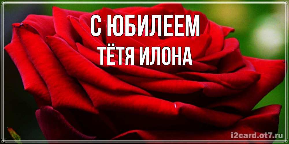 Открытка на каждый день с именем, Тётя-Илона С юбилеем розочка очень красивая Прикольная открытка с пожеланием онлайн скачать бесплатно 