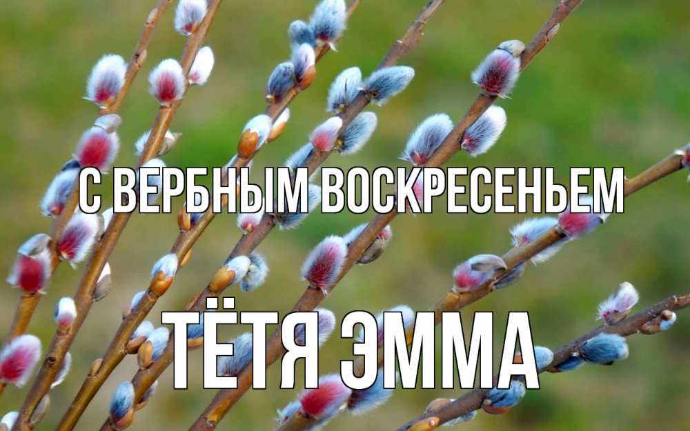 Открытка на каждый день с именем, Тётя-Эмма С вербным воскресеньем верба Прикольная открытка с пожеланием онлайн скачать бесплатно 