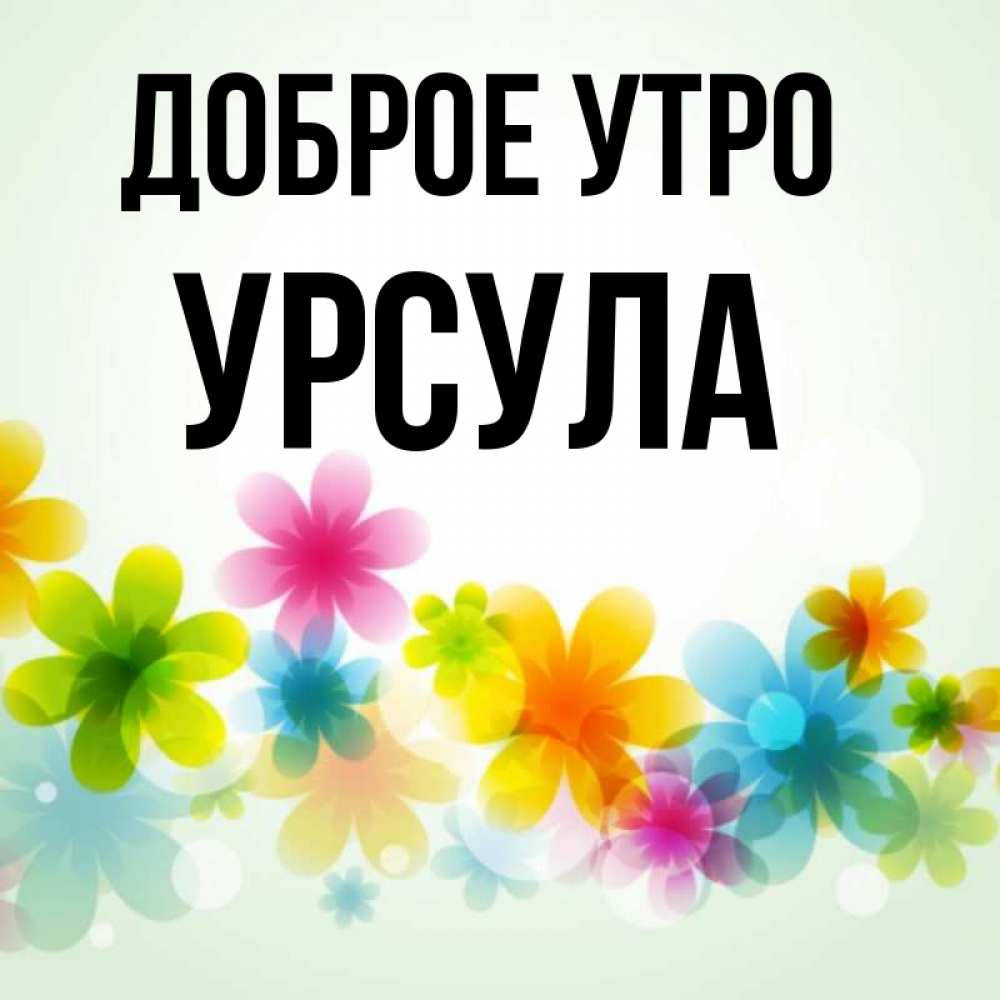 Открытка на каждый день с именем, Урсула Доброе утро позитивные цветочки Прикольная открытка с пожеланием онлайн скачать бесплатно 