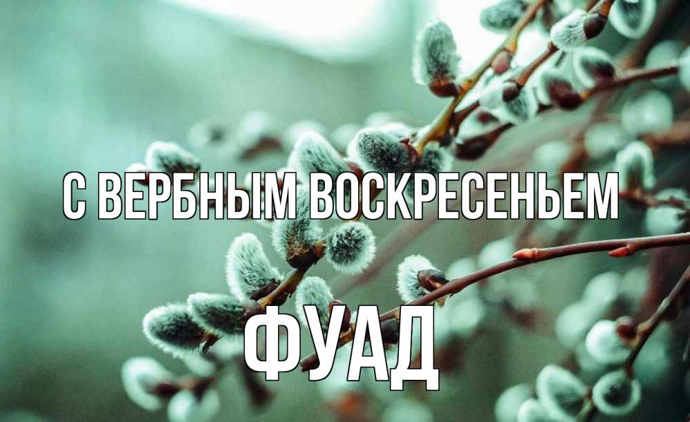 Открытка на каждый день с именем, Фуад С вербным воскресеньем верба Прикольная открытка с пожеланием онлайн скачать бесплатно 