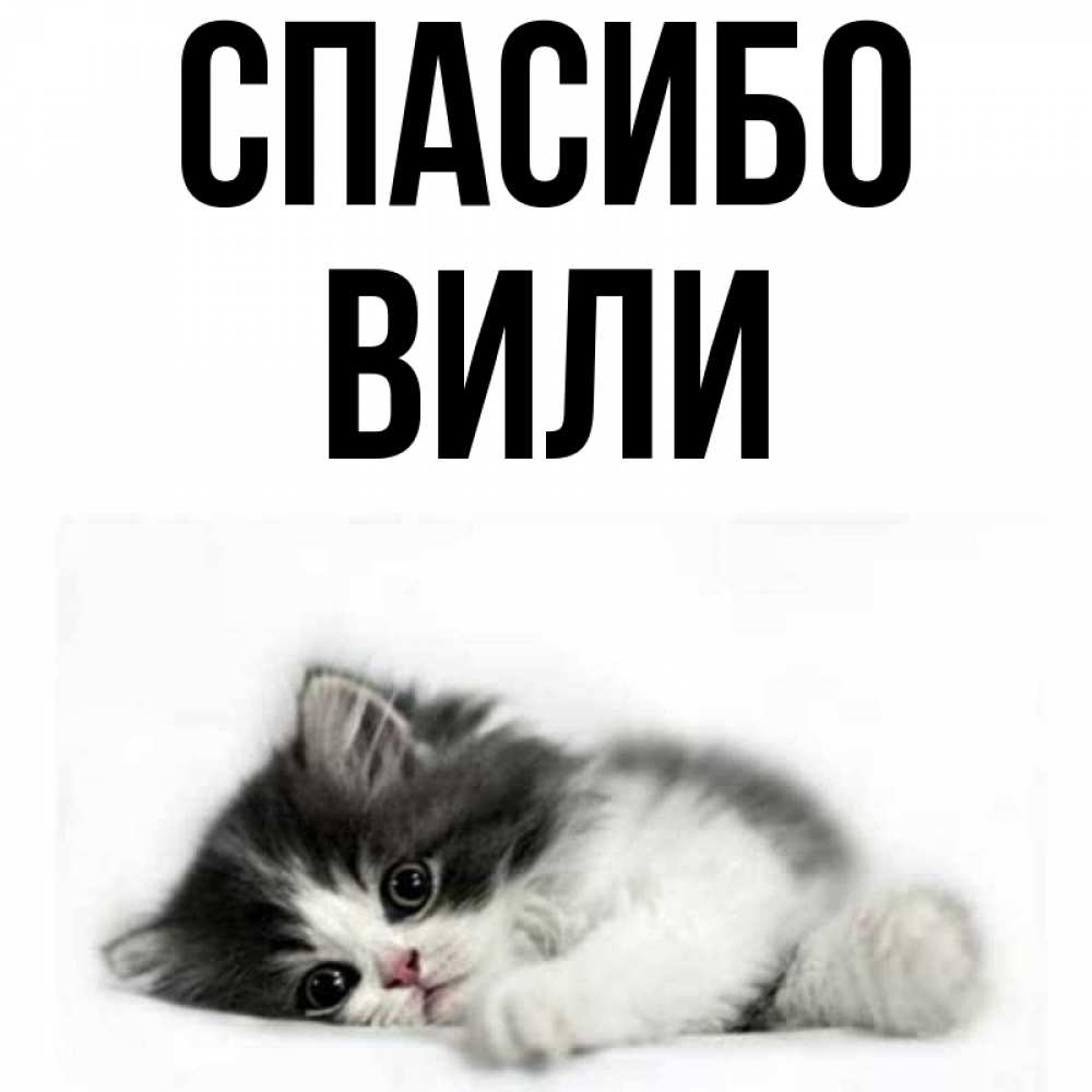 Имя вила