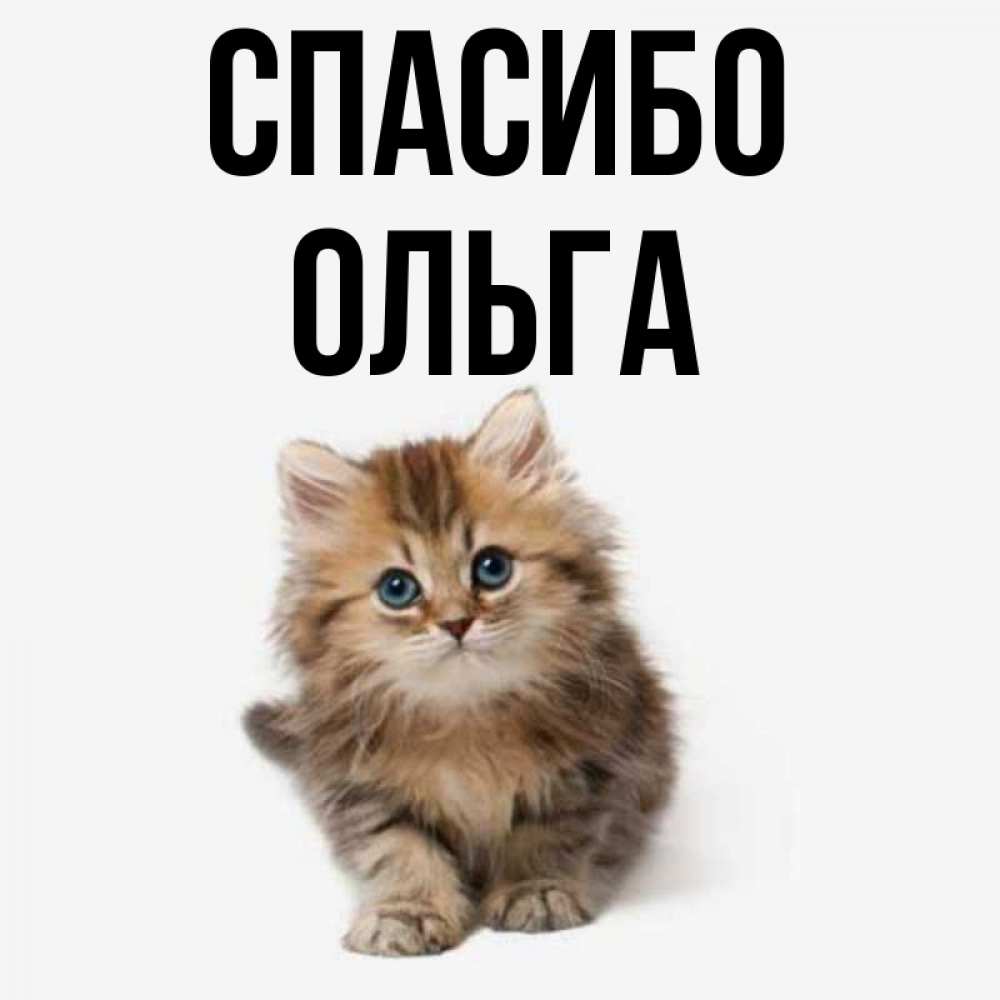 Спасибо ольга картинки, картинки