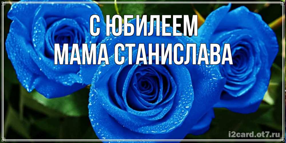 Открытка на каждый день с именем, Мама-Станислава С юбилеем розы с синим цветом Прикольная открытка с пожеланием онлайн скачать бесплатно 
