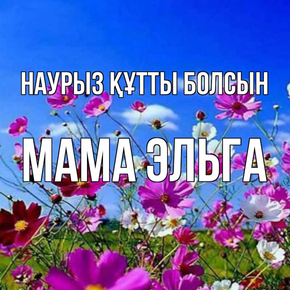 Открытка на каждый день с именем, Мама-Эльга Наурыз құтты болсын цветы Прикольная открытка с пожеланием онлайн скачать бесплатно 