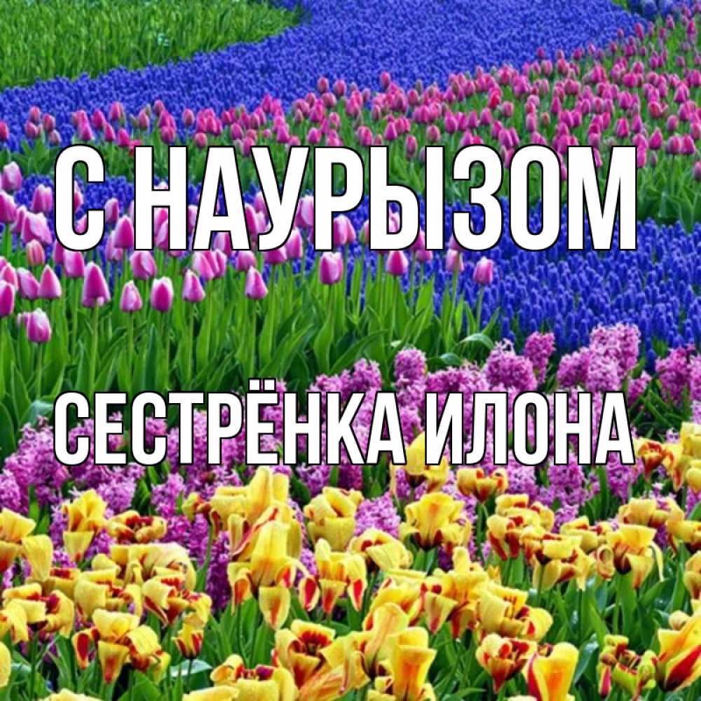 Открытка на каждый день с именем, Сестрёнка-Илона С наурызом цветы Прикольная открытка с пожеланием онлайн скачать бесплатно 