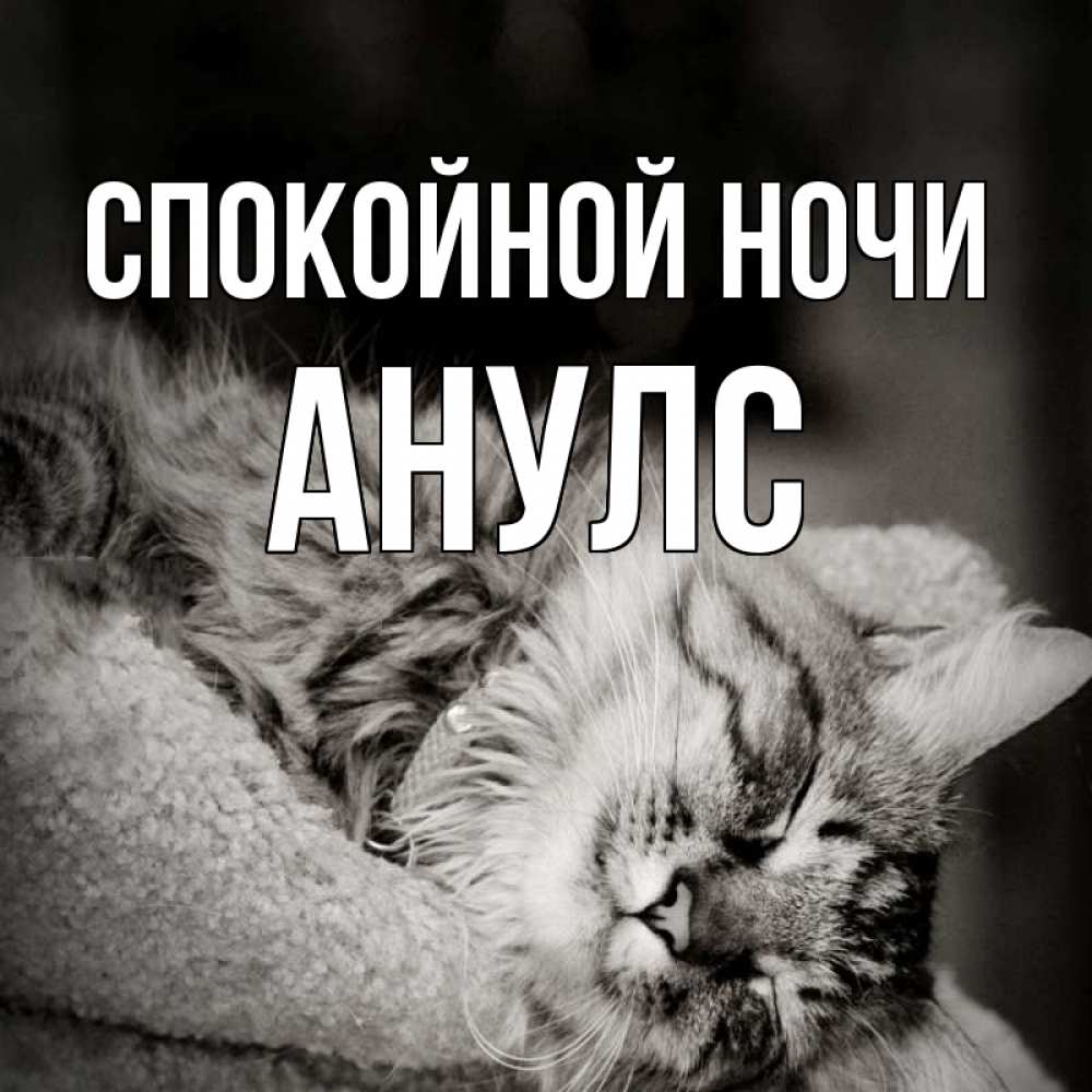 Спокойной ночи мой котик мужчине картинки