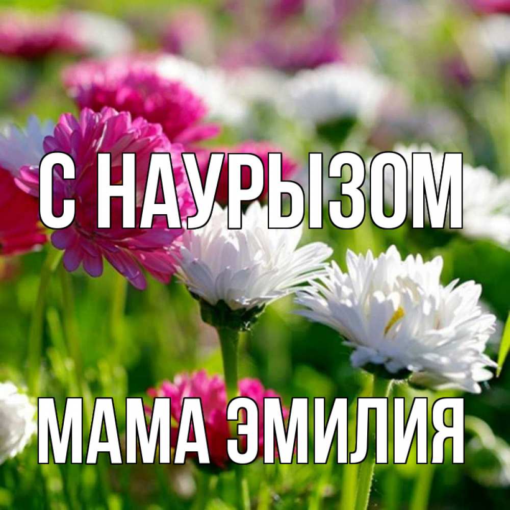 Открытка на каждый день с именем, Мама-Эмилия С наурызом праздник весны наурыз красота Прикольная открытка с пожеланием онлайн скачать бесплатно 