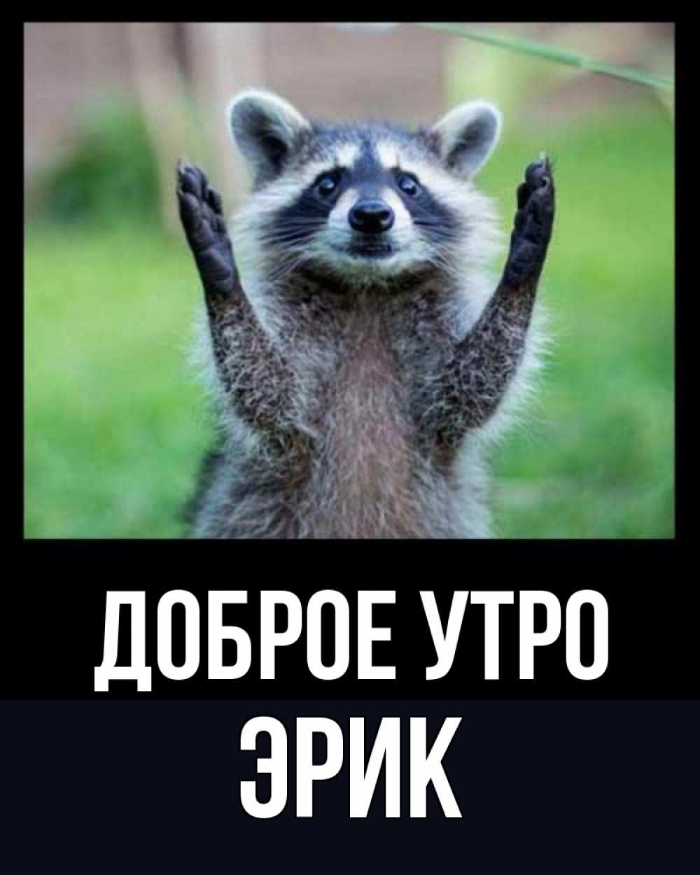 Открытка на каждый день с именем, Эрик Доброе утро хорошее настроение утречком Прикольная открытка с пожеланием онлайн скачать бесплатно 