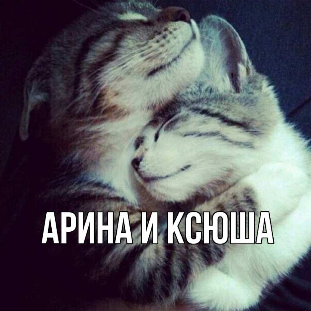 Открытка на каждый день с именем, Арина-и-Ксюша Главная полосатики Прикольная открытка с пожеланием онлайн скачать бесплатно 