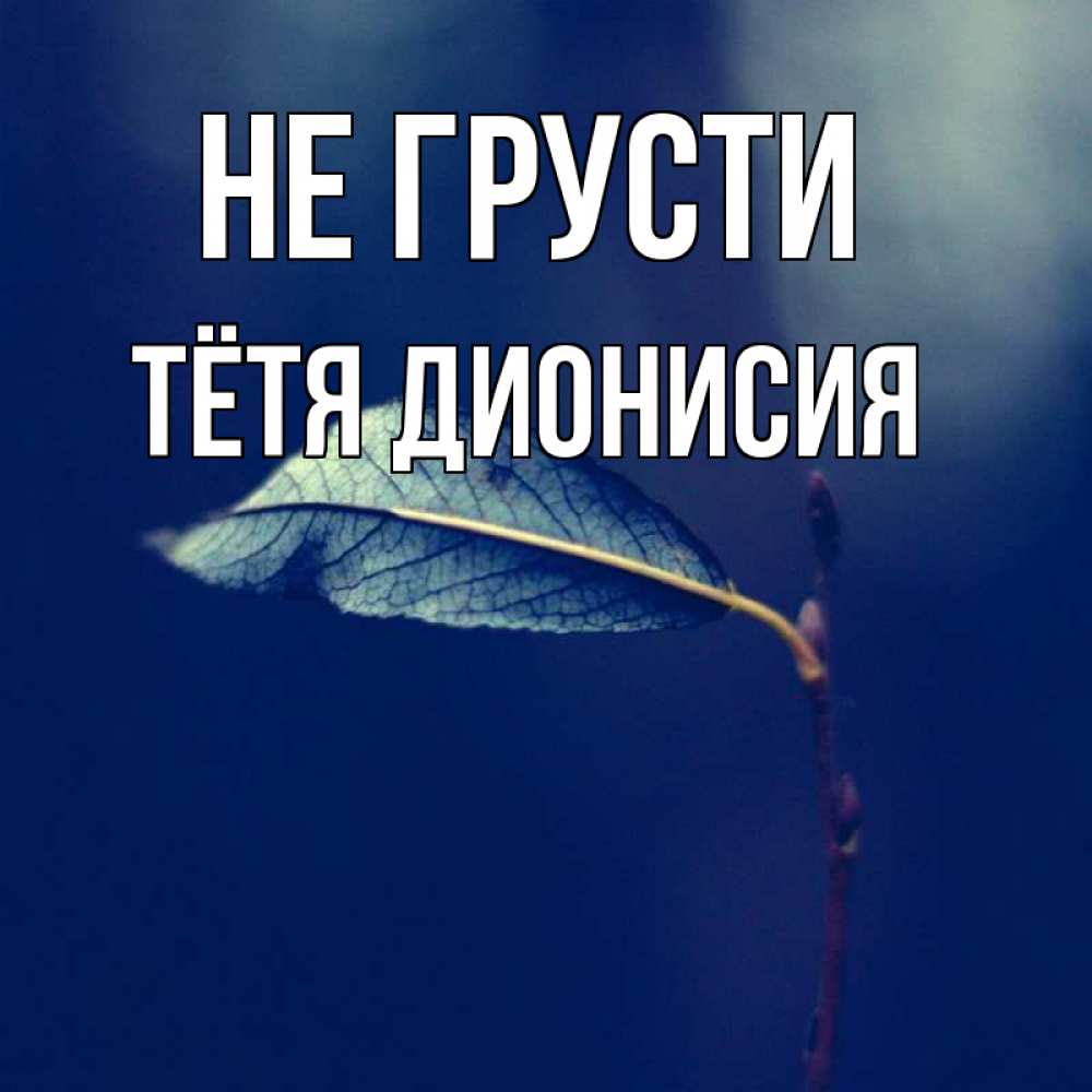 Открытка на каждый день с именем, Тётя-Дионисия Не грусти растение Прикольная открытка с пожеланием онлайн скачать бесплатно 