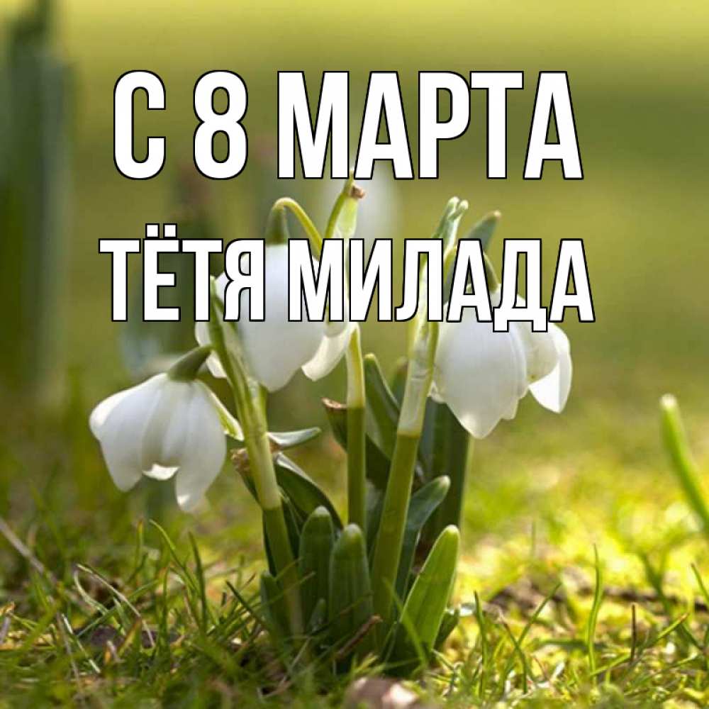 Открытка на каждый день с именем, Тётя-Милада С 8 МАРТА ранние цветы 2 Прикольная открытка с пожеланием онлайн скачать бесплатно 