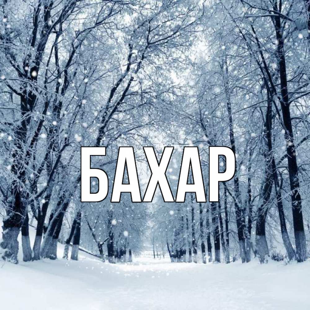 Открытка на каждый день с именем, Бахар Главная снег, лес, парк Прикольная открытка с пожеланием онлайн скачать бесплатно 