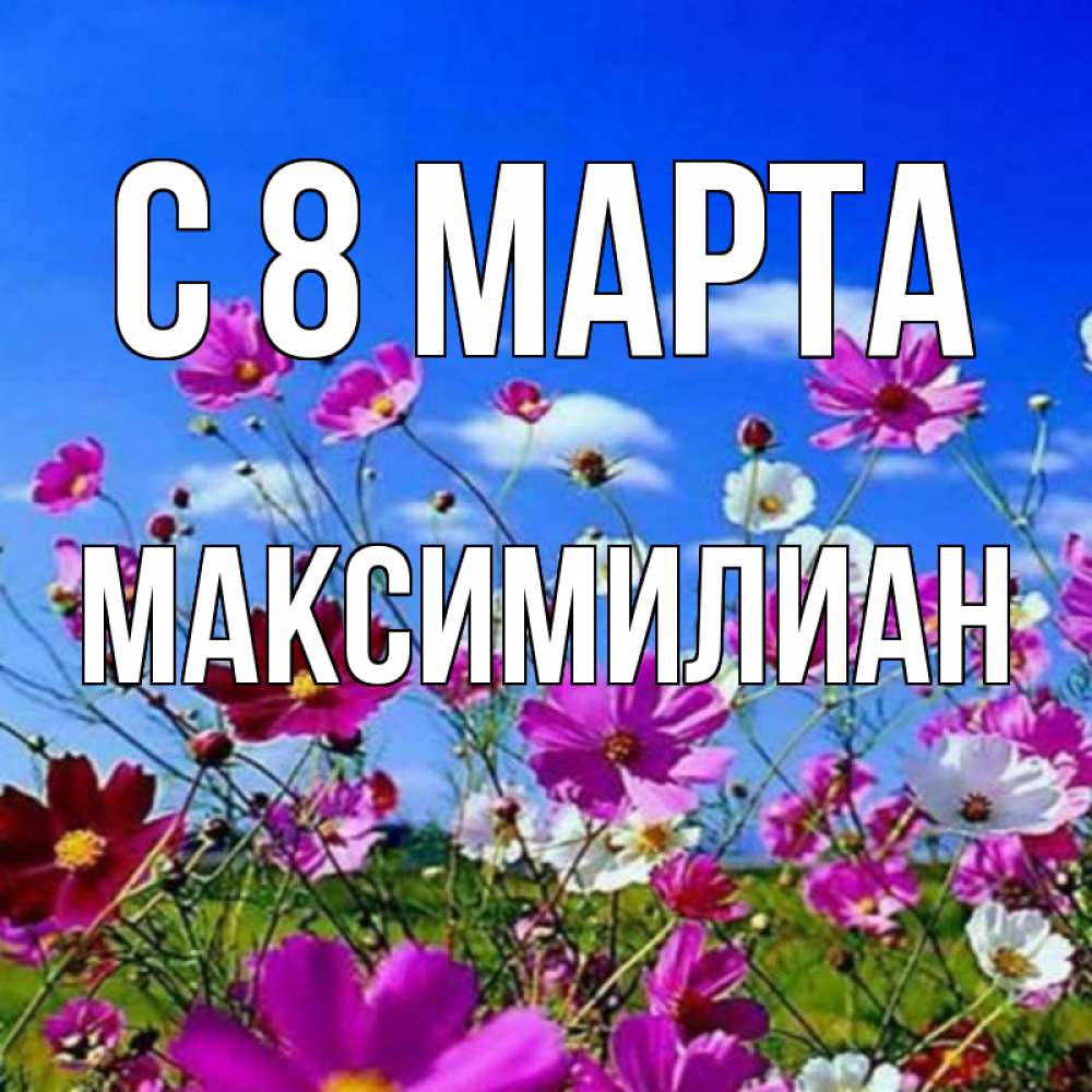 Открытка на каждый день с именем, Максимилиан С 8 МАРТА цветы Прикольная открытка с пожеланием онлайн скачать бесплатно 