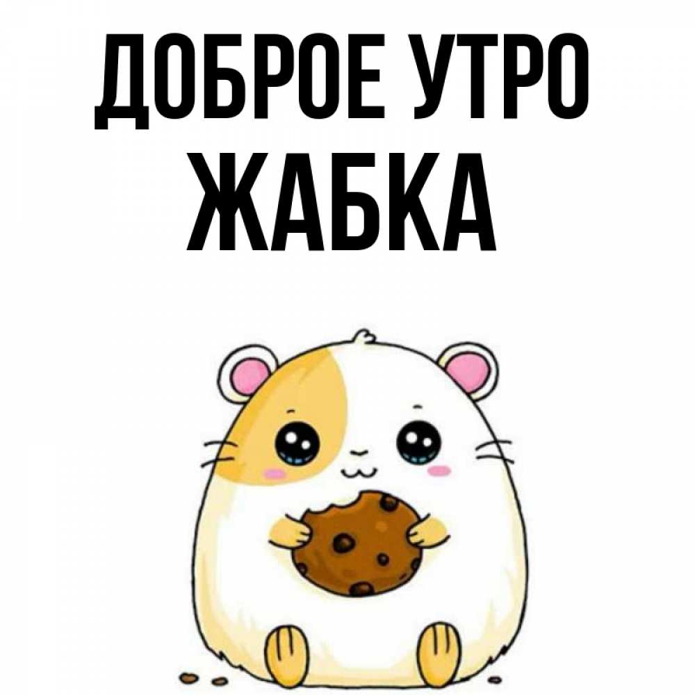 Открытка на каждый день с именем, Жабка Доброе утро есть печеньку. Утречко Прикольная открытка с пожеланием онлайн скачать бесплатно 