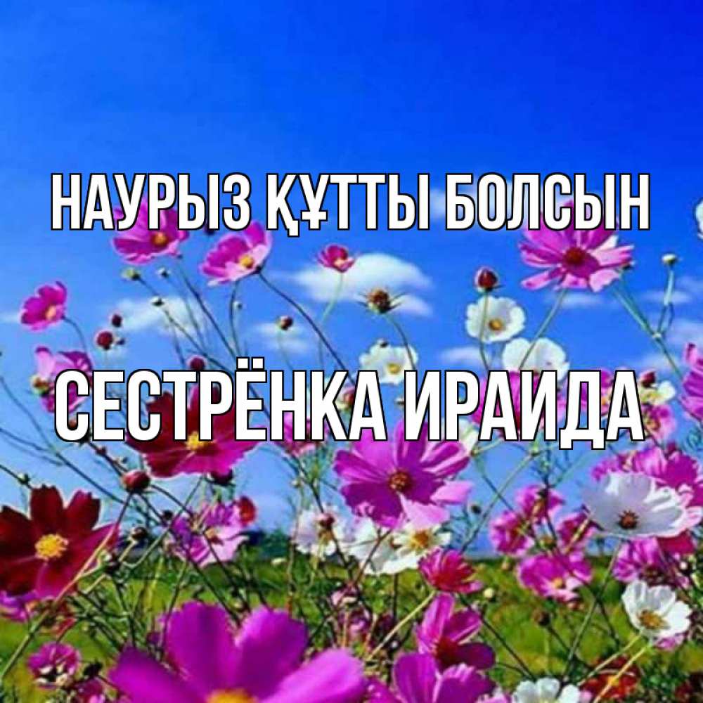 Открытка на каждый день с именем, Сестрёнка-Ираида Наурыз құтты болсын цветы Прикольная открытка с пожеланием онлайн скачать бесплатно 