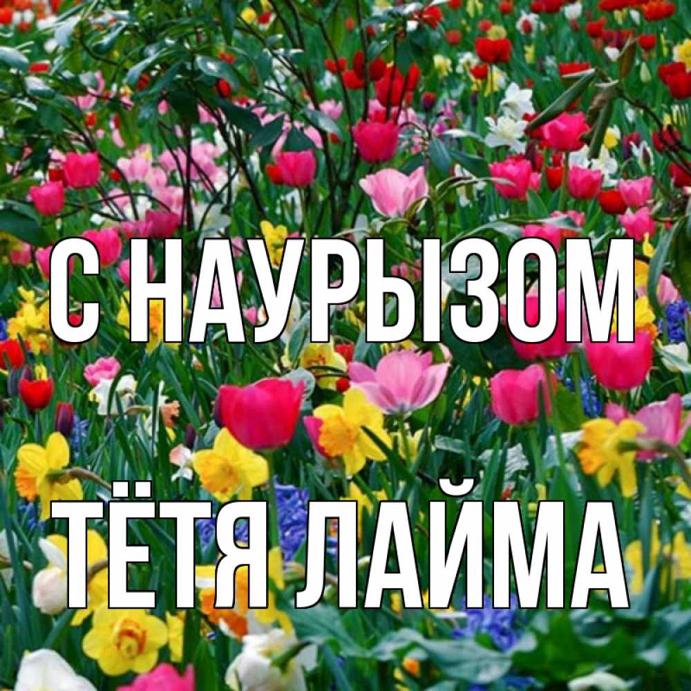 Открытка на каждый день с именем, Тётя-Лайма С наурызом с наурызом праздником весны поздравления для женщины Прикольная открытка с пожеланием онлайн скачать бесплатно 